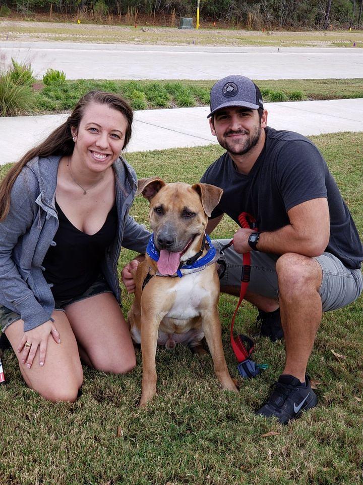 You’ve Adopted a Pet, Now What?