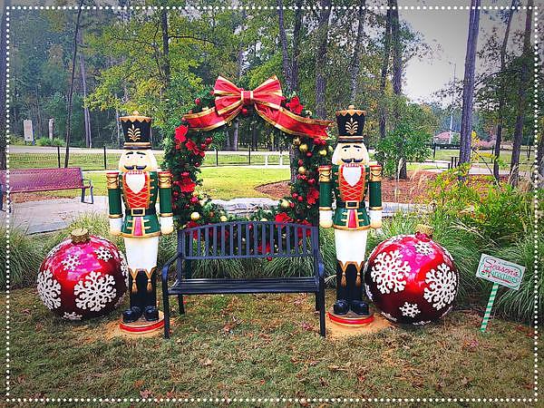 5 Tips for Great Holiday Pictures