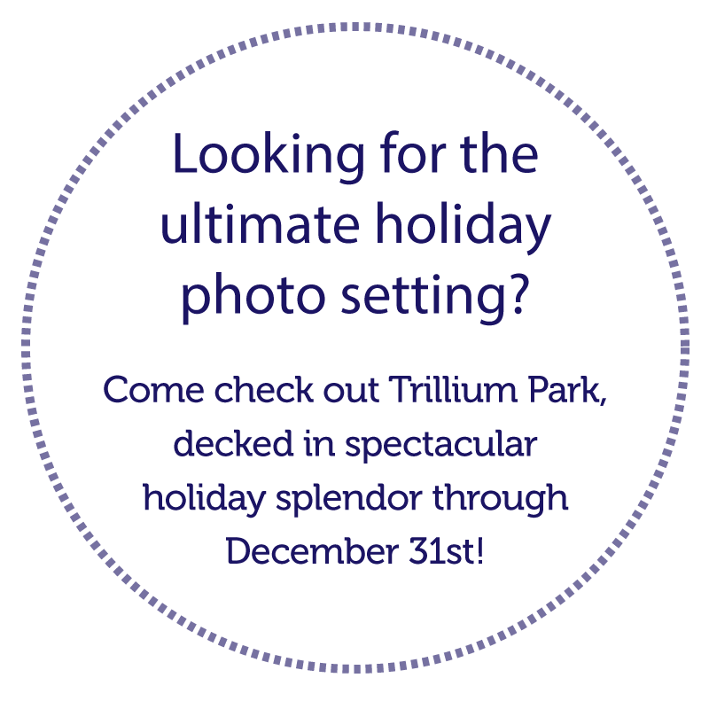 Looking for the ultimate holiday photo setting
